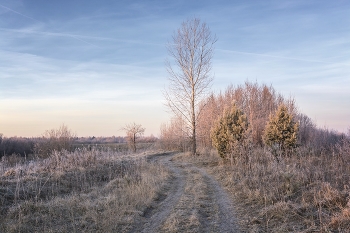 Морозное утро / ***