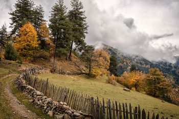 Tsvirmi Autumn / Осенние краски Сванетии. Район Тсвирми за перевалом Угвири