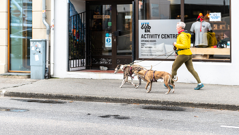 «Тройка» / ***