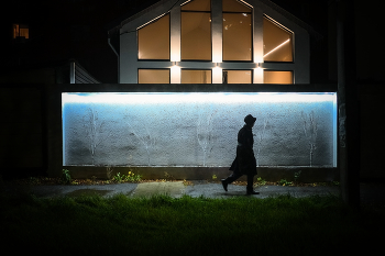 Ночь в городе N... / ***