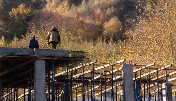 Уходящие в осень. / Уходящие в осень.