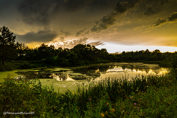 Вечерело / Россия, Тульская область 
Фотограф: https://vk.com/vvlopatoff