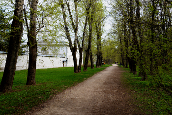 Тополёвая аллея / Тополёвая аллея в Кузьминском парке в Москве. Апрель 2024.