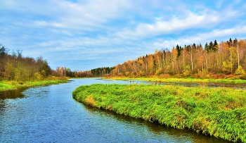 "Октябрь, как рыжий клоун, то плачет, то смеется..." / "Октябрь, как рыжий клоун, то плачет, то смеется,
 На скрипке то минорит, то дарит вновь мажор.
 Деревья гнет в поклоны, коль ветер плеткой вьется...
 Но больше - солнцу вторит листвяный дирижер!"
 Н.Самоний