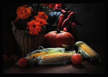 Подарила осень... / ***