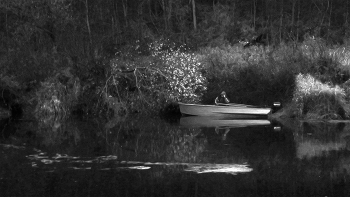 Жизнь вокруг / ***