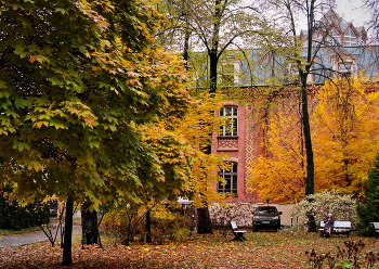 Московский дворик / Осенний пейзаж 26.10.2025