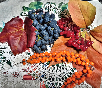 Осенние дары природы / Осенние дары природы