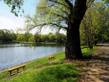 Пруд Садки / Пруд Садки в Москве. Май 2024.