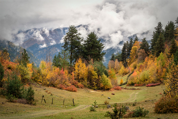 Tsvirmi Autumn 2 / Осенние краски Сванетии. Район Тсвирми за перевалом Угвири.