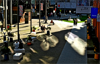   / ......................................