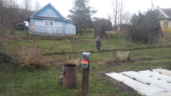 Жизнь вокруг / ***