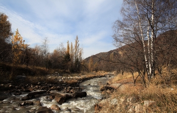 Уставшая осень / ***