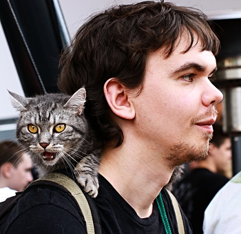 Охраняет / ***