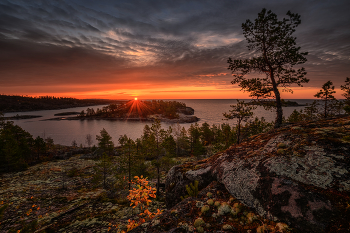 Осеннее утро на Ладоге... / Ладога... Октябрь 2025

Следующей осенью на Ладожском озере будем ловить свет в Питкяранте. Собирайтесь :)
Напомню, что в 26-м на озеро Джека Лондона поеду весной на цветение Рододендрона, в конце июня. Группа набирается. Скоро настанет пора покупки авиабилетов. Пишите, звоните....
И, традиционно, осень на Джеке. Набор группы в самом разгаре
В 27-м году следующая поездка в Архангельскую область на золотую осень в клнце сентября. Программу буду увеличивать до двух недель. Т.к. очень много передвижений, просто не успеваем впитать в себя душевность этих мест. А очень хочется просто побродить и напиться вдоволь...
На Кольский в середине ноября тоже 2 места свободно
Следующая моя поездка в Момский НацПарк запланирована на конец августа 28-го года.
Пока готовлюсь к очередным путешествиям...На НГ в Ворзогоры могу взять ещё одного человека. Можно поехать в Кимжу в начале февраля. Анонсы на сайте phototourtravel.ru
Подписывайтесь в MAX https://max.ru/u/f9LHodD0cOLOq7OZwTlN2lzsjKg3fxnzBwh4lQ5ht9zDTiYp8yWjD7FBZN0