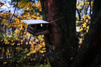 Про позднюю осень... / ***