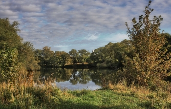 Сентябрьский сюжет / В окрестностях города Серпухов 2012 год.