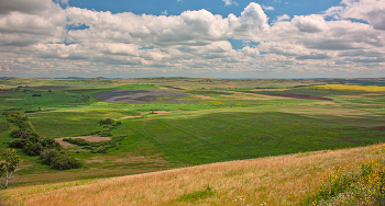 820 / Уральские степи и холмы.