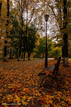 Осень в Калуге / Место съемки: Калужская область, г. Калуга
Фотограф: https://vk.com/vvlopatoff