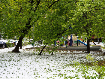 Майский снег / Волжский бульвар в Москве. Снег в мае. Май 2024.