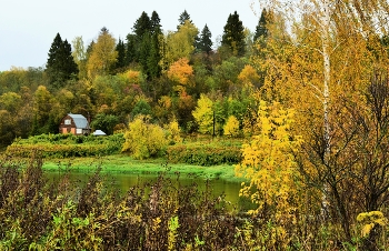 &quot;Все разошлись. На прощанье осталась оторопь желтой листвы за окном...&quot; / &quot;Все разошлись. На прощанье осталась
 Оторопь желтой листвы за окном.
 Вот и осталась мне самая малость -
 Шорохи осени в доме моем ...&quot;
 А.Тарковский