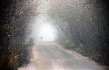 Портал / Портал