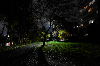 Октябрьский вечер 10 / ***