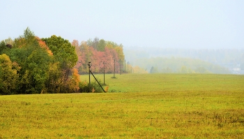 &quot;Пробежало лето легкими шагами ...&quot; / &quot;Пробежало лето легкими шагами
 И не за горами холода с дождями.
 На листве деревьев желтые веснушки,
 На опушке стайкой - рыжики, волнушки ...&quot;
 М.Чирва