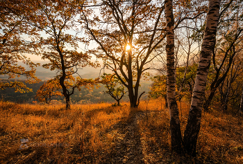 Осень в лесу / Кисловодский парк. 
Из фотопроекта «Открывая Ставрополье».