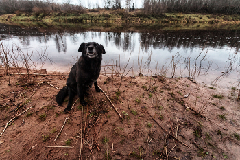 Жизнь вокруг / ***
