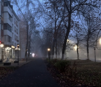 Туман / &quot;Туман приходит на кошачьих лапках, он сидит на своих мягких лапках, оглядывает город, а затем уходит&quot; К. Сэндберг