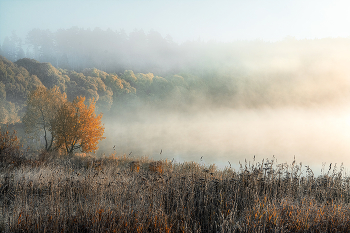 &nbsp; / осеннее утро на озере