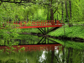 Кузьминский парк / Кузьминский парк в Москве. Май 2024.