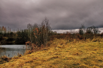 **Поздняя осень.* / **Томская область.*