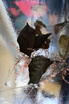 Ботаника 2. / ***