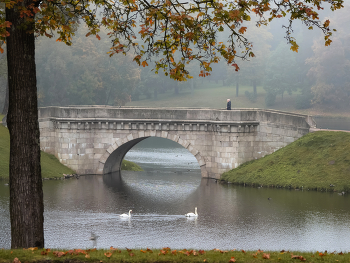Октябрь в Гатчине / Карпин пруд в Дворцовом парке, Гатчина. Октябрь 2025