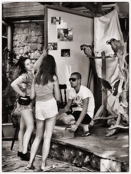 Попугай... / В древнем городе Несебр.