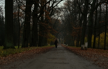 Первое утро ноября / Ноябрь