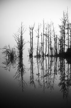 рассвет. / ......