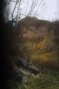 Жизнь вокруг / ***