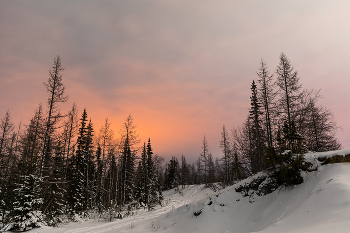 Томный вечер / Вечерняя ямальская тундра
