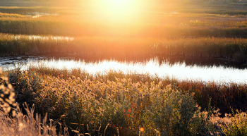 Осенняя феерия солнечного света . / ***