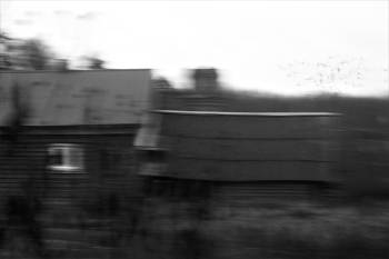 Жизнь вокруг / ***