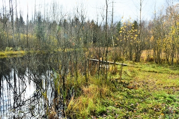 &quot;Осень тихо умирает, машет желтою рукой ...&quot; / &quot;А зима будет большая,
 Вот гляди-ка за рекой,
 Осень тихо умирает,
 Машет желтою рукой ....&quot;