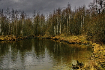 Лесное озеро. / **Томская область.*