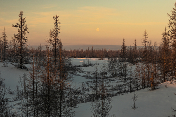Вслед за луной / Зимний пейзаж на просторах ямальской тундры