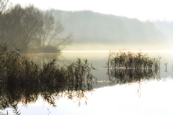 Туман на рассвете / Сюжеты осени