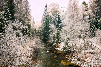 &nbsp; / Природа Южного Урала