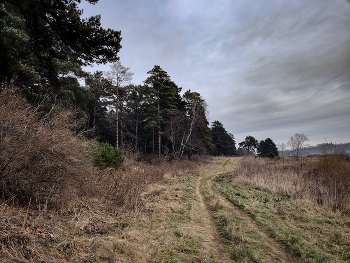 Осенний пейзаж / ***