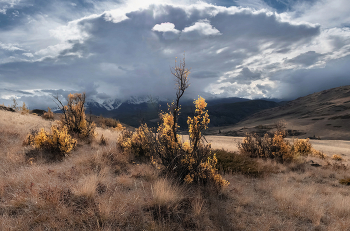 Осенние огоньки / ***